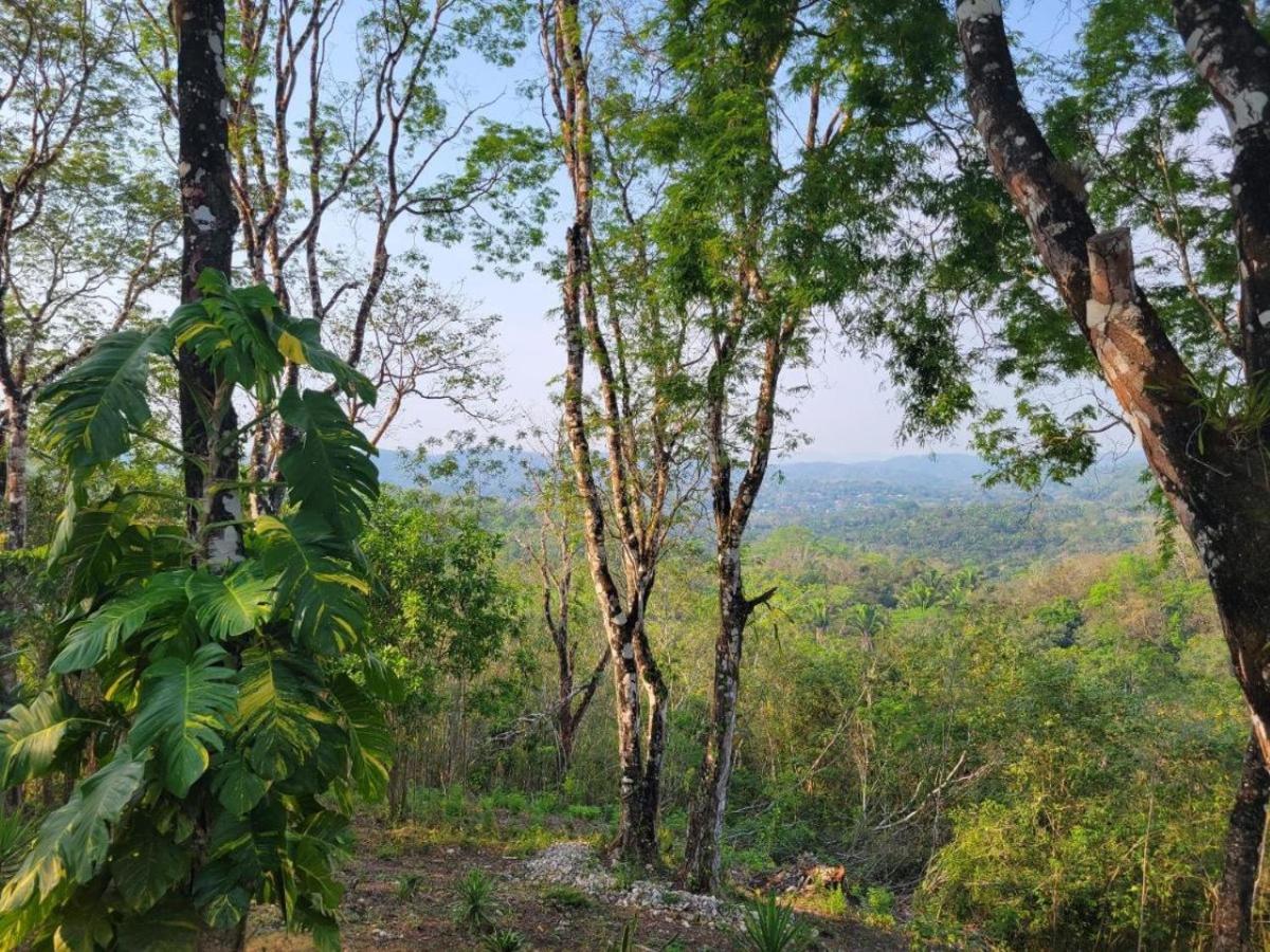 Villa Cayo San Ignacio Bagian luar foto